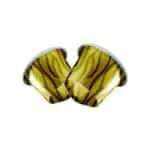 Кофе в капсулах Belmio Nespresso Aphrodicia