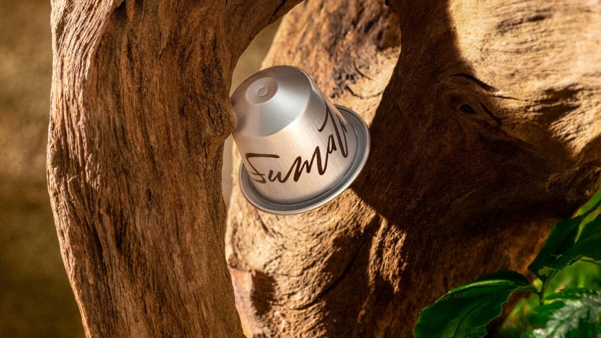 Кофейная капсула в деревянной ветке и зелень